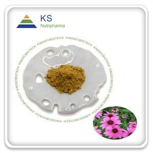 Serbuk ekstrak purpurea echinacea