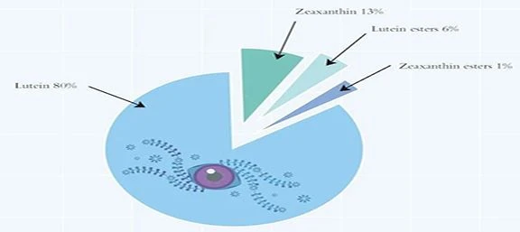 Apakah Makanan Yang Tinggi dengan Zeaxanthin?