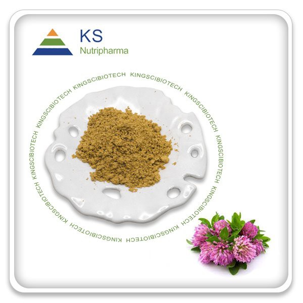 Isoflavon Semanggi Merah