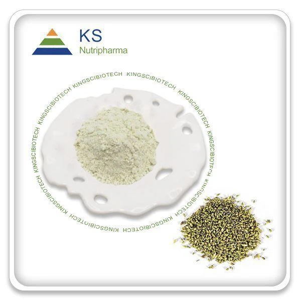 Ekstrak Buah Sophora Japonica